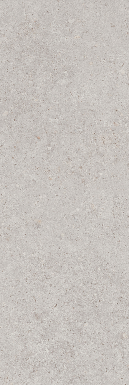 Риккарди серый светлый матовый обрезной 14053R 40x120