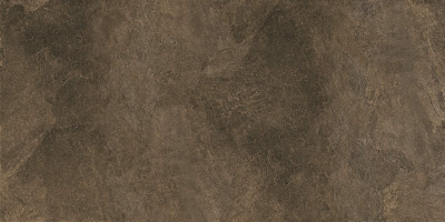 Про Стоун Керамогранит коричневый обрезной DD503920R 60x119,5
