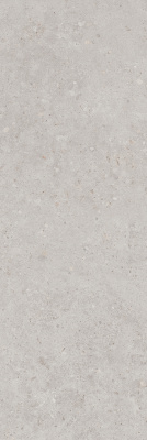 Риккарди серый светлый матовый обрезной 14053R 40x120