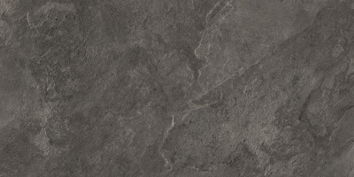Портер Браун ПРО Керамогранит корич. LP6012G0161R 59,5х119,1 матовый структурный+гл.чернила R10/B КР